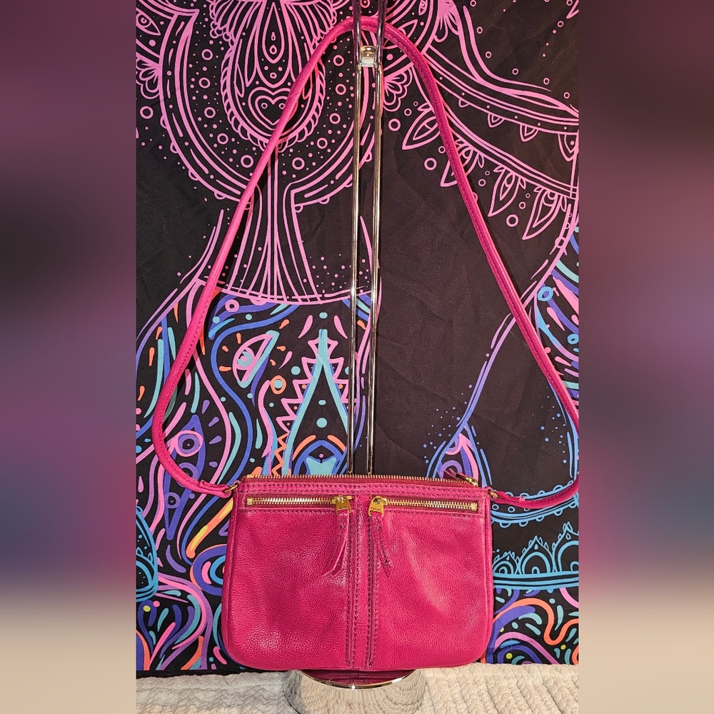 Fossil Erin Crossbody Bag